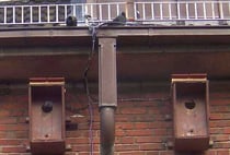 In diesen Dohlenkästen an der Walter-Lehmkuhl-Schule sind derzeit die NABU-Dohlen-Webcams auf Sendung.