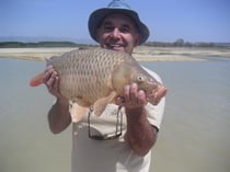 Sotonera un site Aragonais