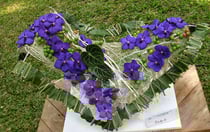 BONNE ANNEE 2014 ET GROSSES BISES A TOUS