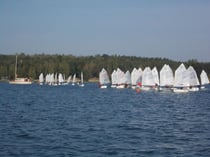 LJüM Sachsen Anhalt 2012