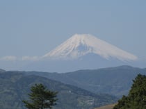 伊豆小室山から見る富士山
