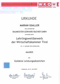 Goldenes Leistungsabzeichen - Marian Gsaller - 2. Lehrjahr