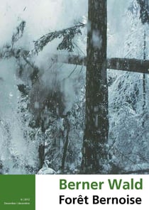 Aktive Holznutzung schafft win-win-win-win-win