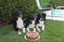 Cyra, Aylin und Amy - voller Erwartung!