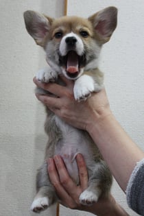 ぼくちんは男の子2番君で～す♪