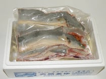 天然うなぎ(冷凍パック)