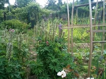 Photo Christophe Köppel