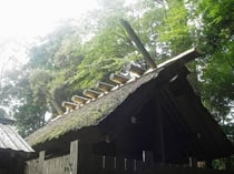 62回目の式年遷宮を迎える伊勢神宮。周囲には貴重な森林環境が広がる　Photo by ippoqqi