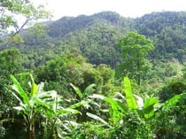 Photo By permanently scatterbrained