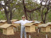 養蜂園内に無事設置された巣箱。パッケージでオア馴染み写真です。