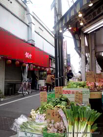 LifeTeria blog ブログ