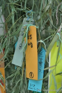 LifeTeria blog 七夕