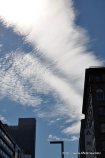 LifeTeria blog ブログ