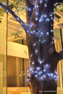 LifeTeria blog ブログ