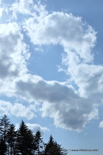 LifeTeria blog ブログ　ビーナスライン