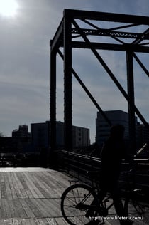 LifeTeria blog ブログ