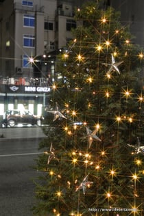 LifeTeria blog ブログ