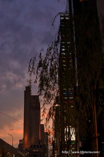 LifeTeria blog ブログ