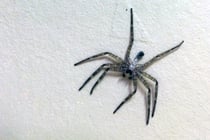 Na, schon mal gesehen?