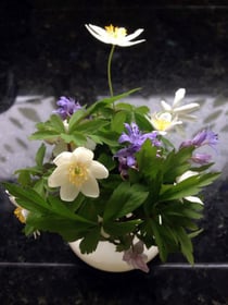 Das sieht man hier nicht