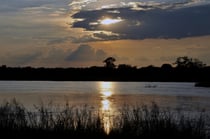 Einmalige Abendstimmung am Okavango.