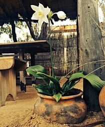 Willkommensgruss bei meinem Gartenhaus