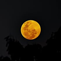 Rundu: Freitag, 13. Juni 2014 und Vollmond