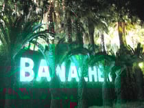 "Banacher Club", the most famous summer-club in the area