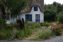 Foto: Naturnaher Garten