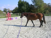 La carrière 20 x 40