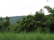 Khao Khieo, Chonburi