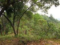 Mountain pass near Wiang Pa Pao 1080 meter, Chiang Rai province