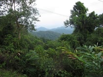 Mountain view from TV-Station Ranong province