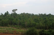 Nam Nao, 700 m, Province Phetchabun