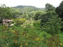 Doi Angkhang, Chiang Mai province