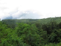 Phu Pan NP, Sakon Nakhon province, Thailand
