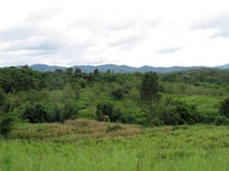 Nam Nao NP, Phetchabun