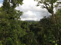 Doi Pha Hom Pok, Chiang Mai province