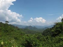 Khao Sok NP, Surat Thani province