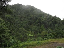 Mountain view in Nopphitam, Nakhon Si Thammarat province