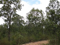 Phu Phan, Sakon Nakhon Province