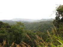 Mountain pass near Wiang Pa Pao 1200 meter, Chiang Rai province