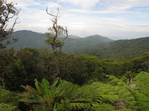 Mountain view in Ron Phibun, Nakhon Si Thammarat province