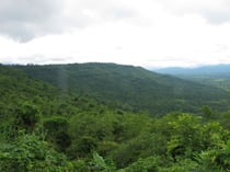 Taplan NP, Nakhon Ratchasima