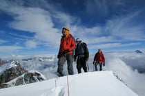 erste Spur auf den frisch verschneiten Castor