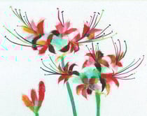 「花火」(部分)