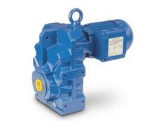 Motoreductor Paralelo Pendular