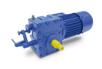 Motoreductor Puentes Grúa