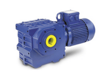 Motoreductor de Tornillo Sinfín Serie Bs