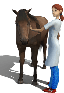 Pet Vet with Horse